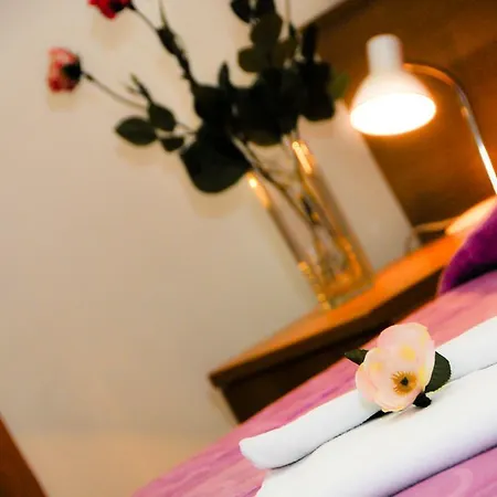 Venezia Hotel 3*